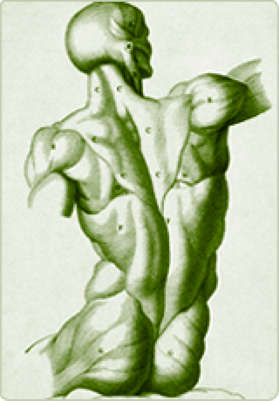 body1 body1